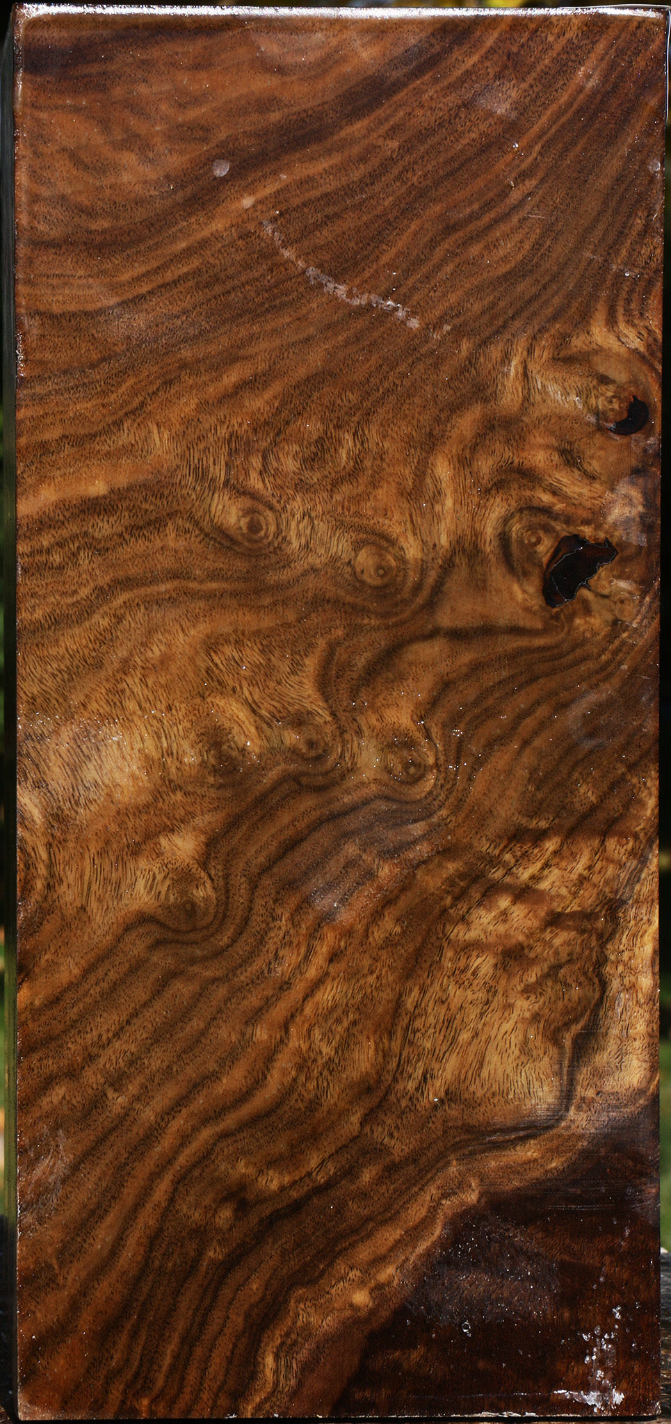 Figured Claro Walnut Vessel Blank