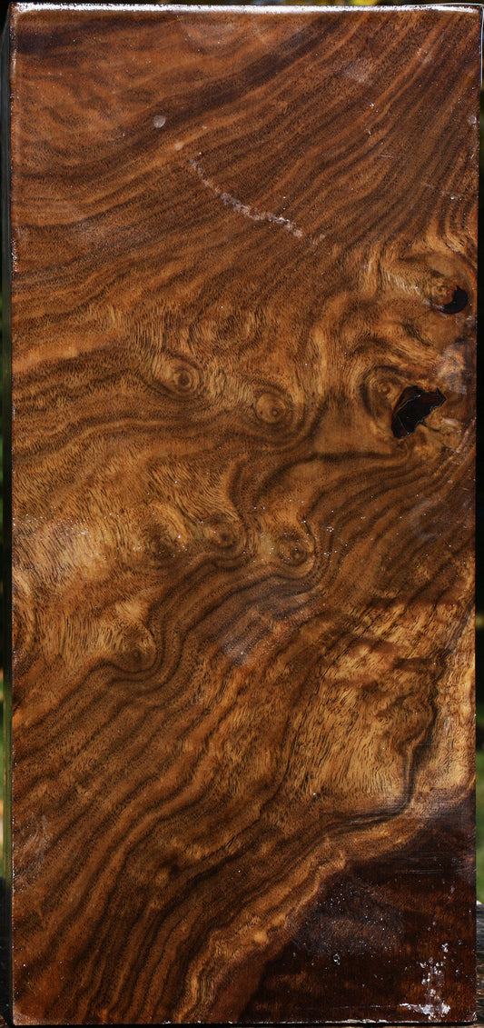 Figured Claro Walnut Vessel Blank