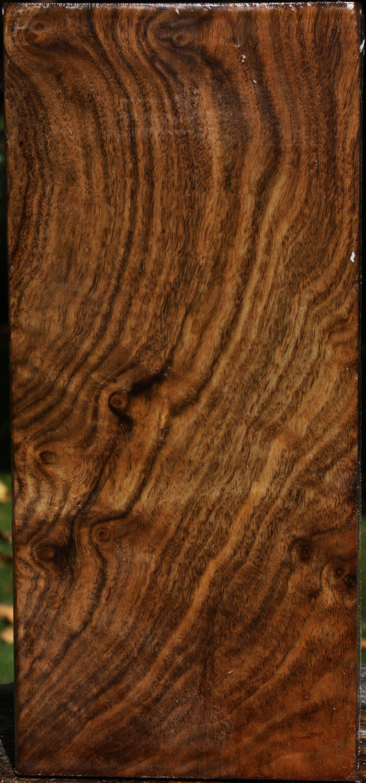 Figured Claro Walnut Vessel Blank
