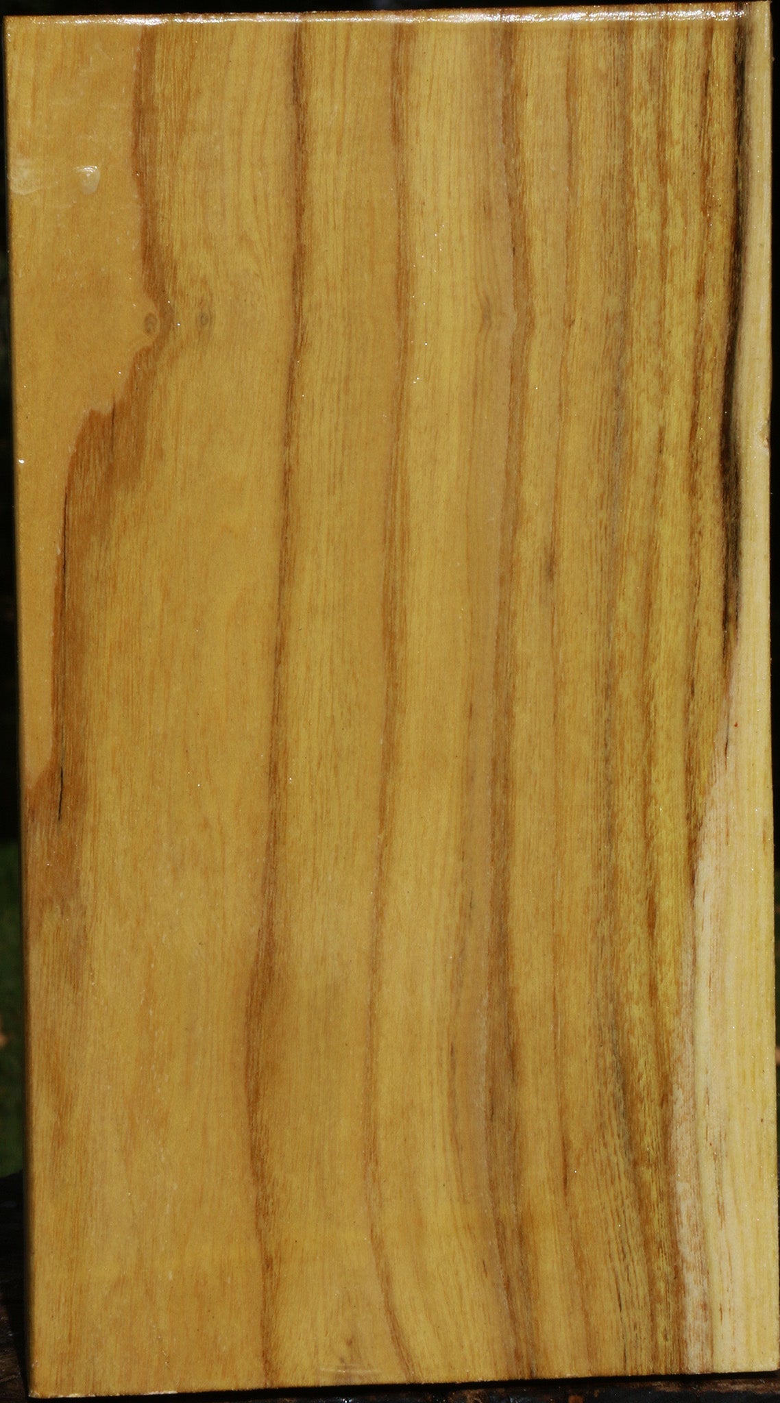 Mulberry Vessel Blank