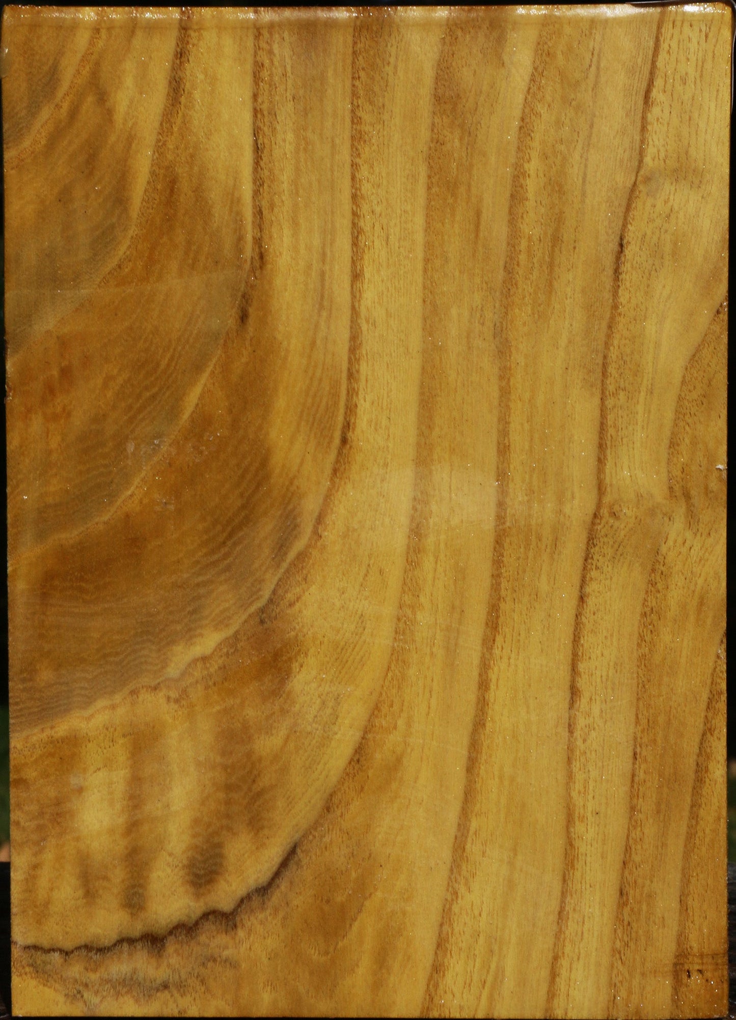 Mulberry Vessel Blank