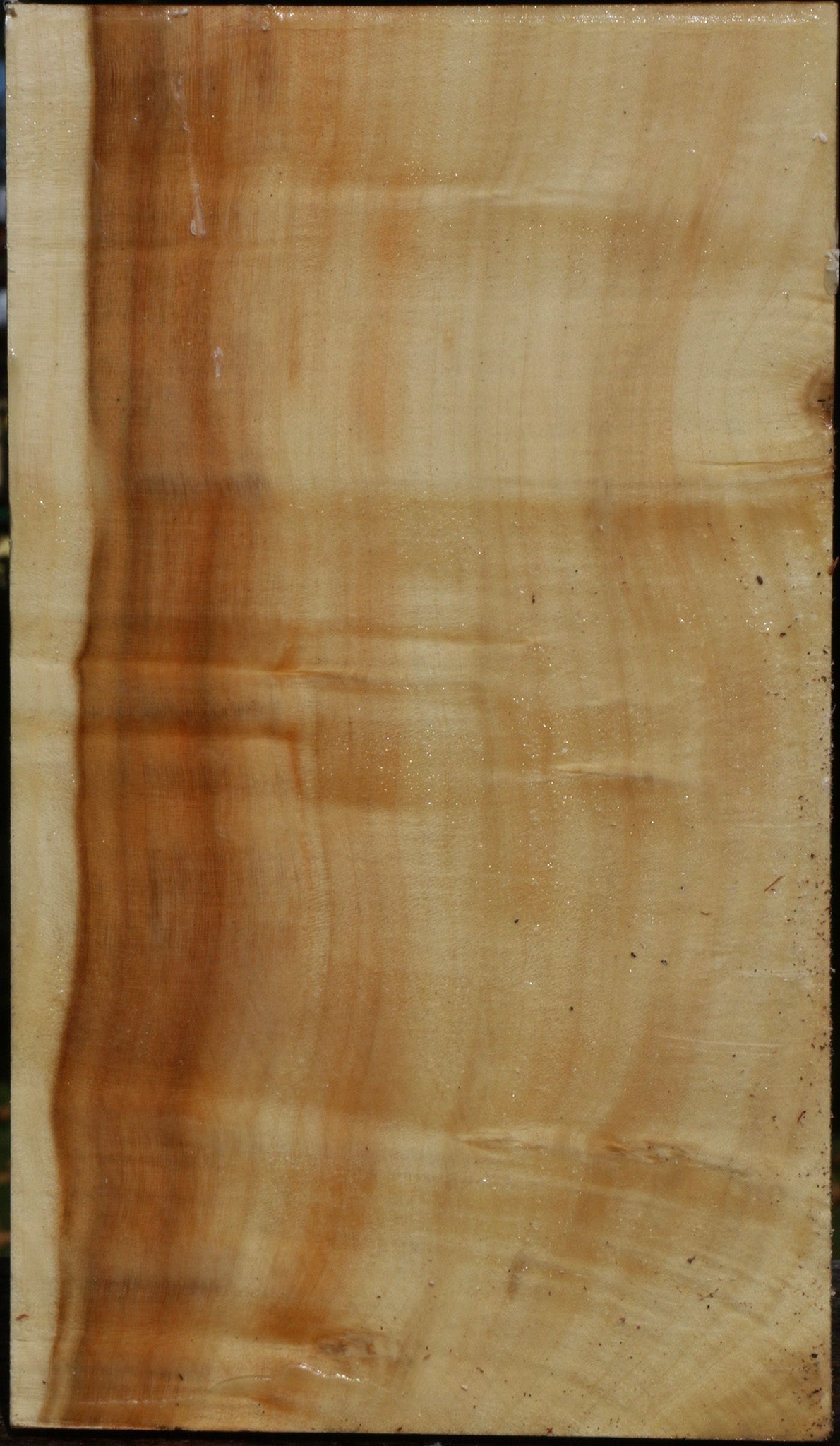 Figured Box Elder Vessel Blank