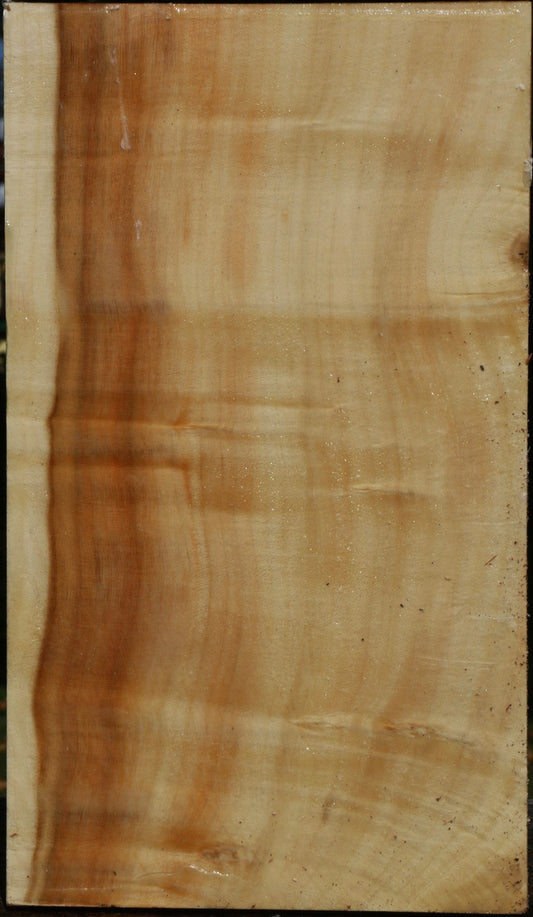 Figured Box Elder Vessel Blank