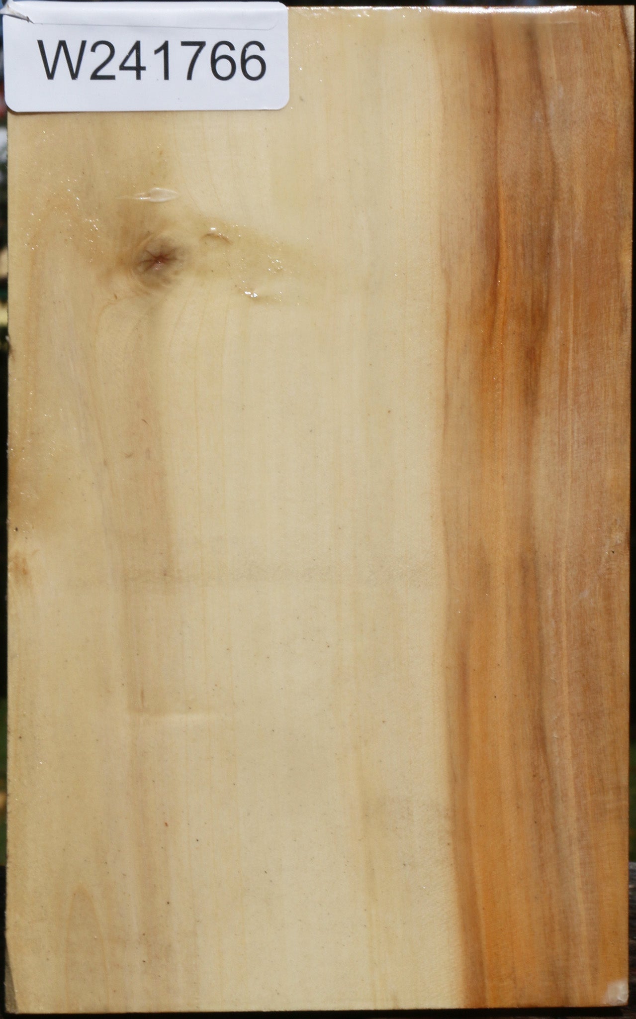 Extra Fancy Box Elder Vessel Blank