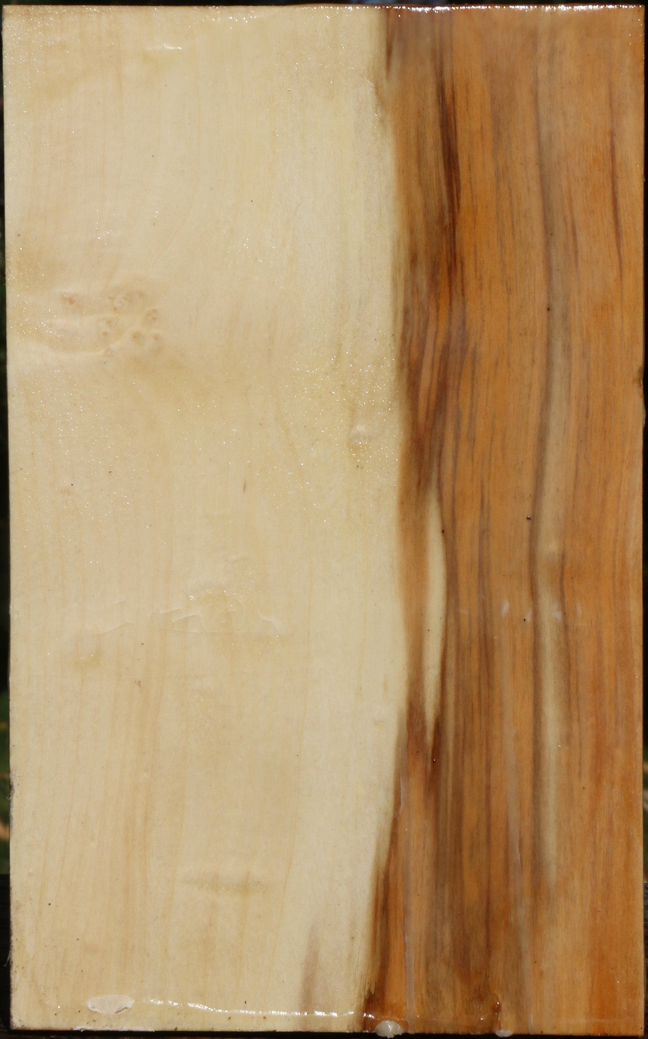 Extra Fancy Box Elder Vessel Blank