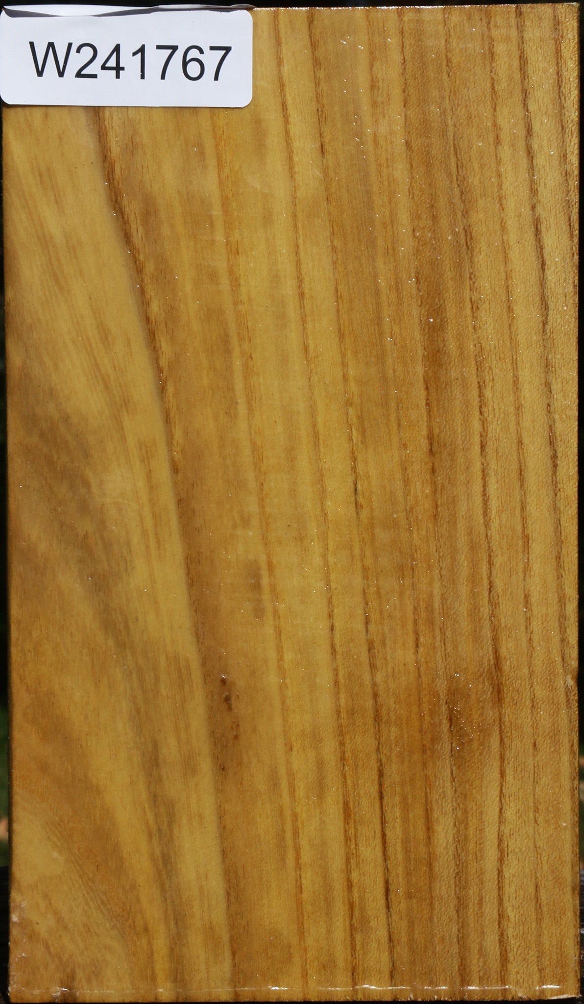 Mulberry Vessel Blank