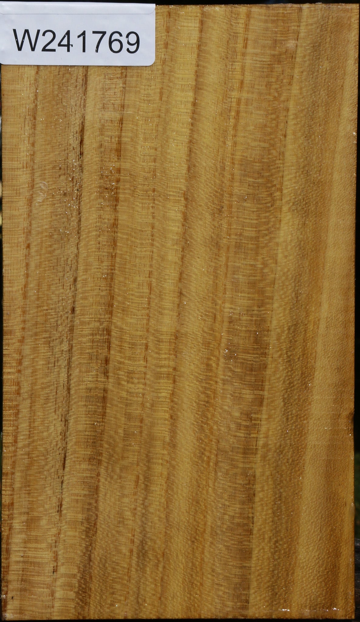 Mulberry Vessel Blank