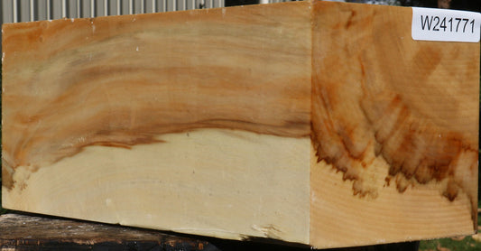 Extra Fancy Box Elder Vessel Blank