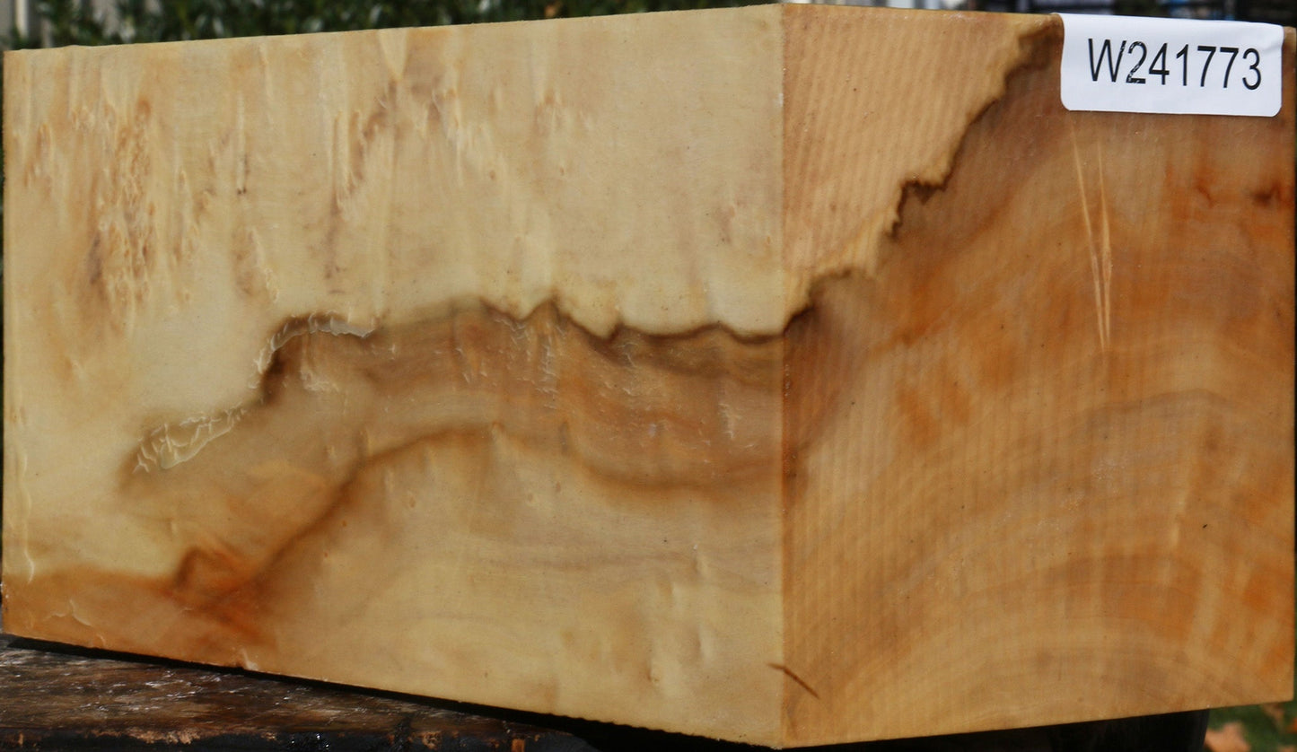 Box Elder Vessel Blank