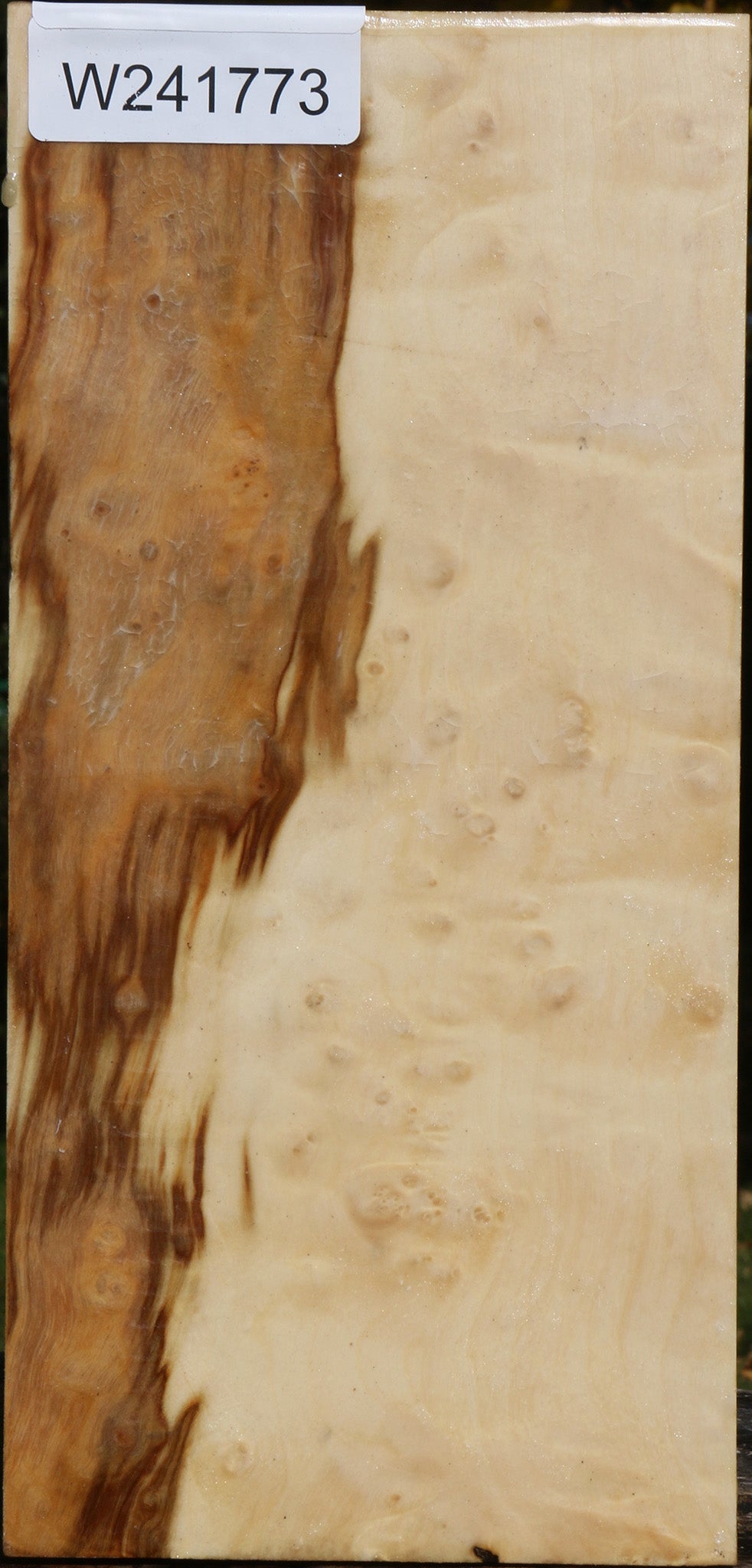 Box Elder Vessel Blank