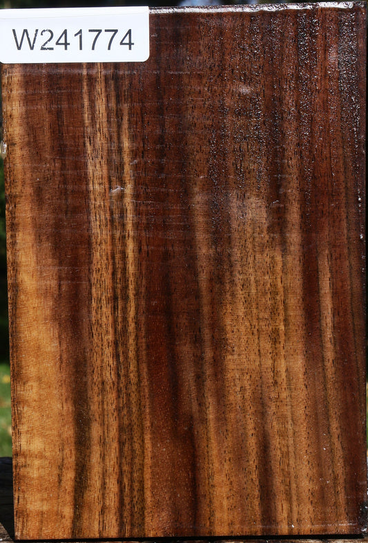 Claro Walnut Vessel Blank