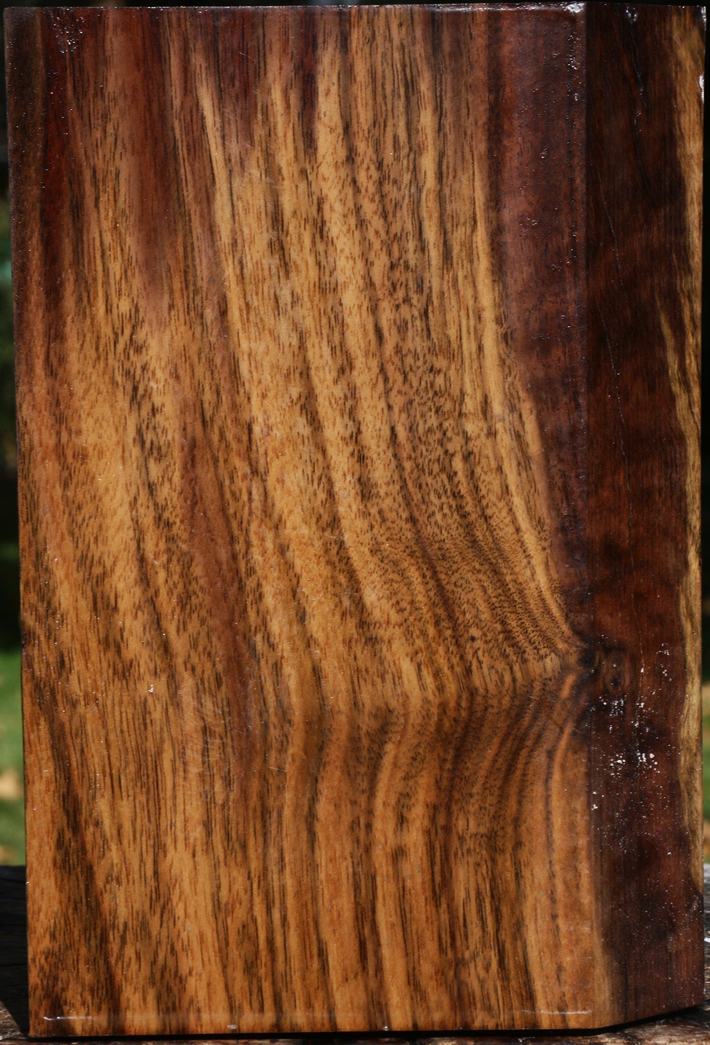 Claro Walnut Vessel Blank