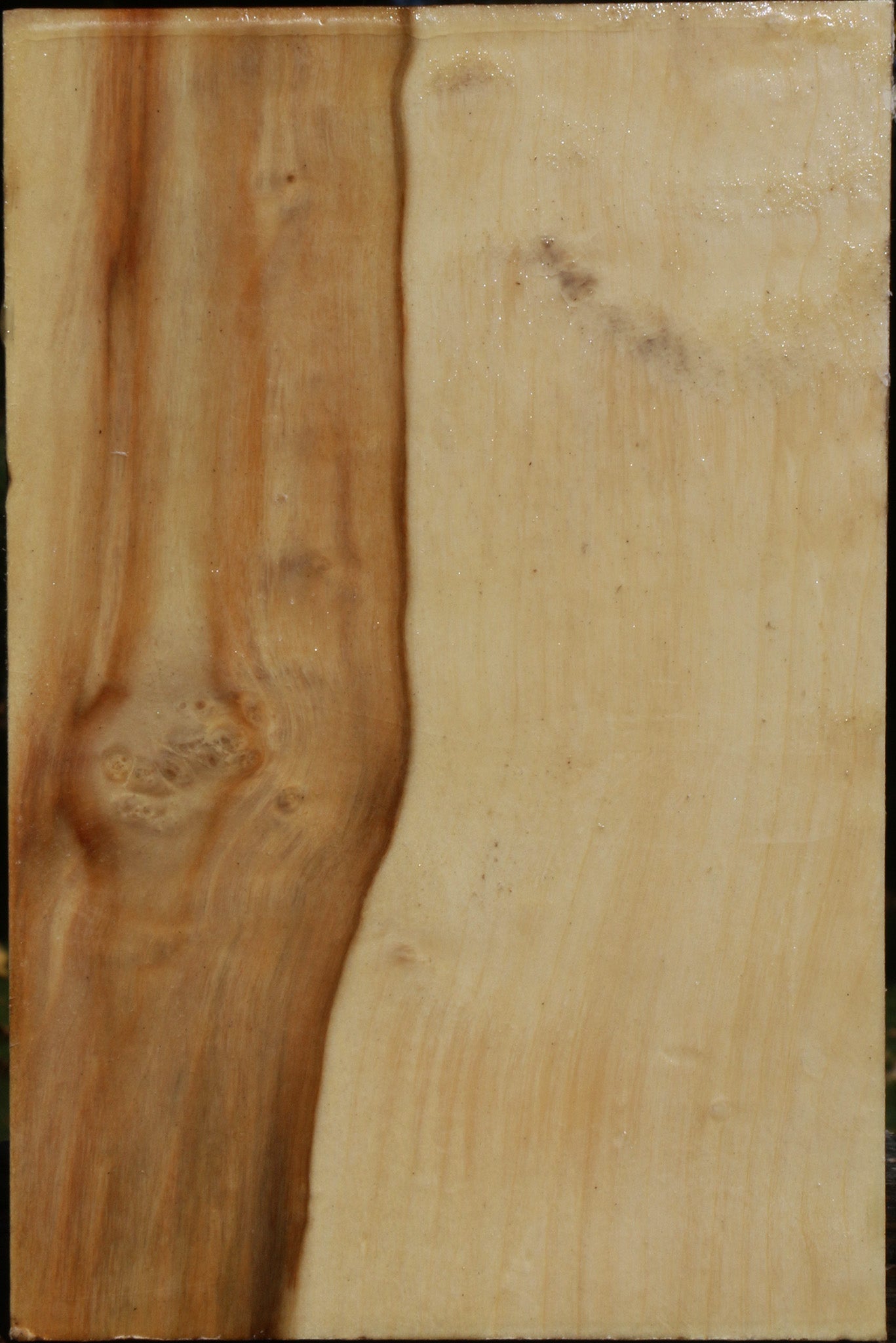 Figured Box Elder Vessel Blank