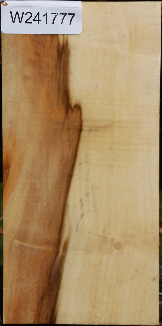 Extra Fancy Box Elder Vessel Blank