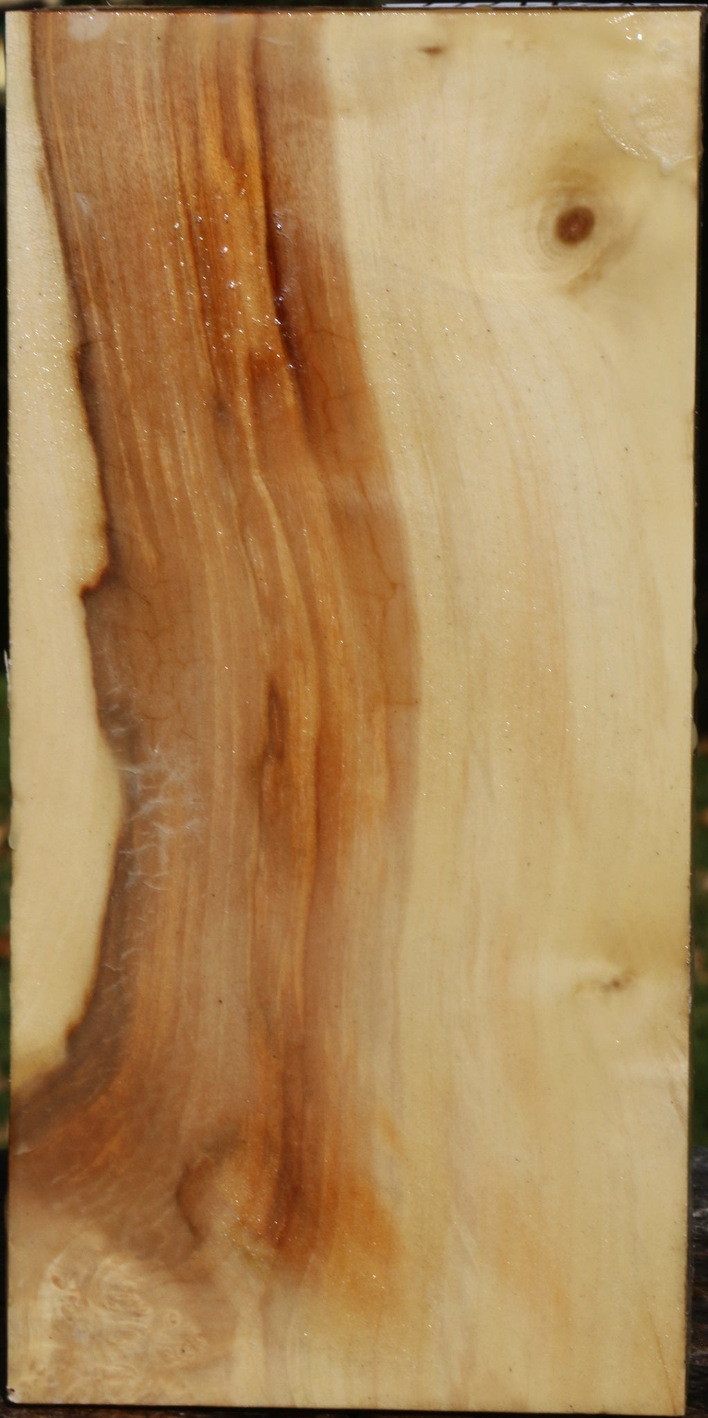 Extra Fancy Box Elder Vessel Blank