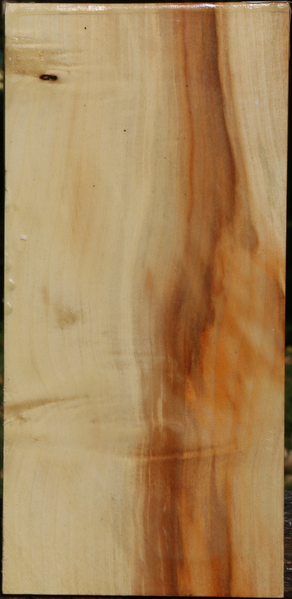 Extra Fancy Box Elder Vessel Blank