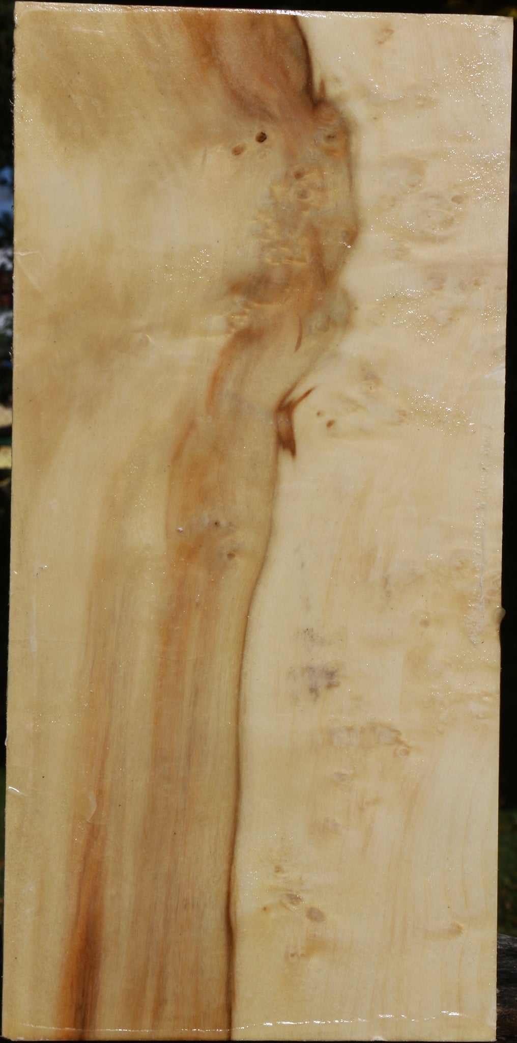 Extra Fancy Box Elder Vessel Blank