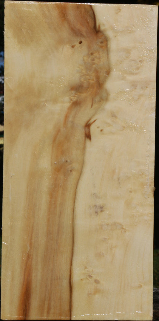 Extra Fancy Box Elder Vessel Blank