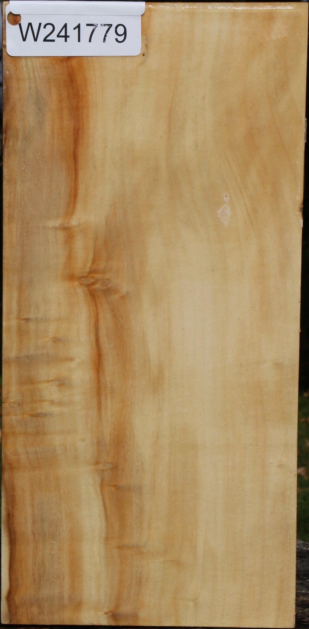 Extra Fancy Box Elder Vessel Blank