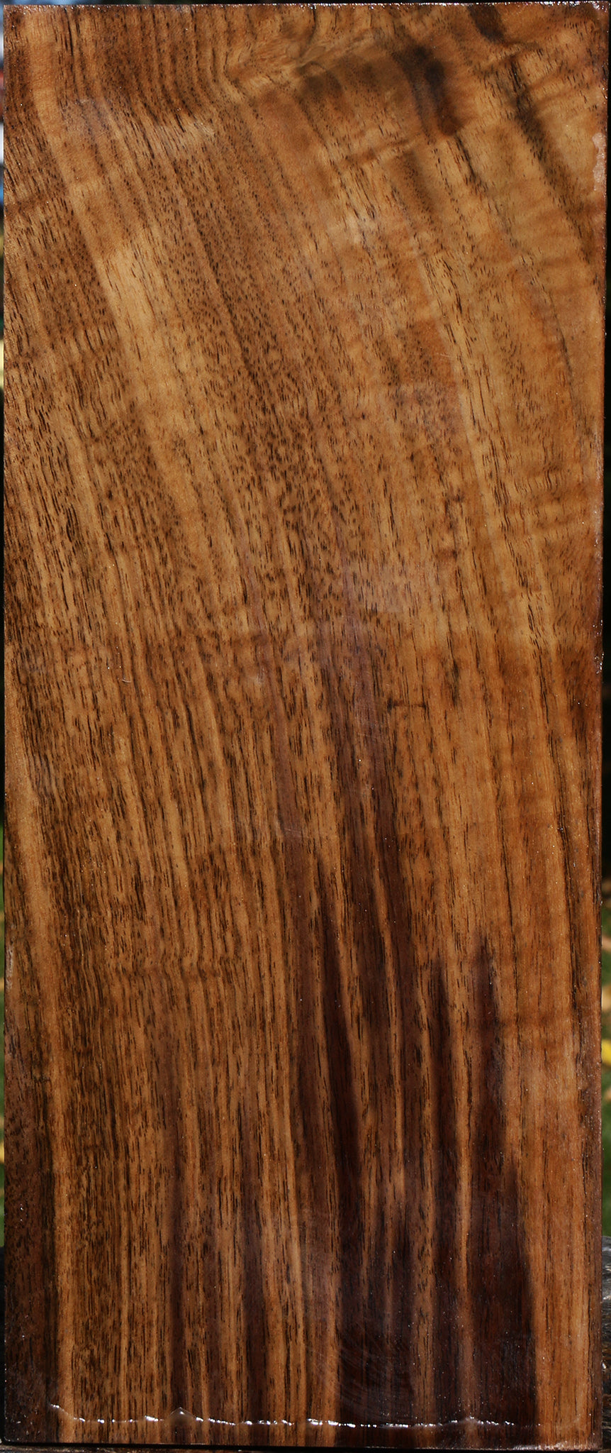 Figured Claro Walnut Vessel Blank