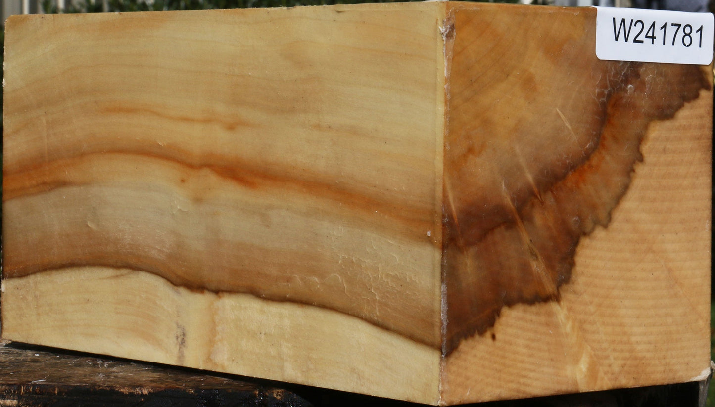 Extra Fancy Box Elder Vessel Blank