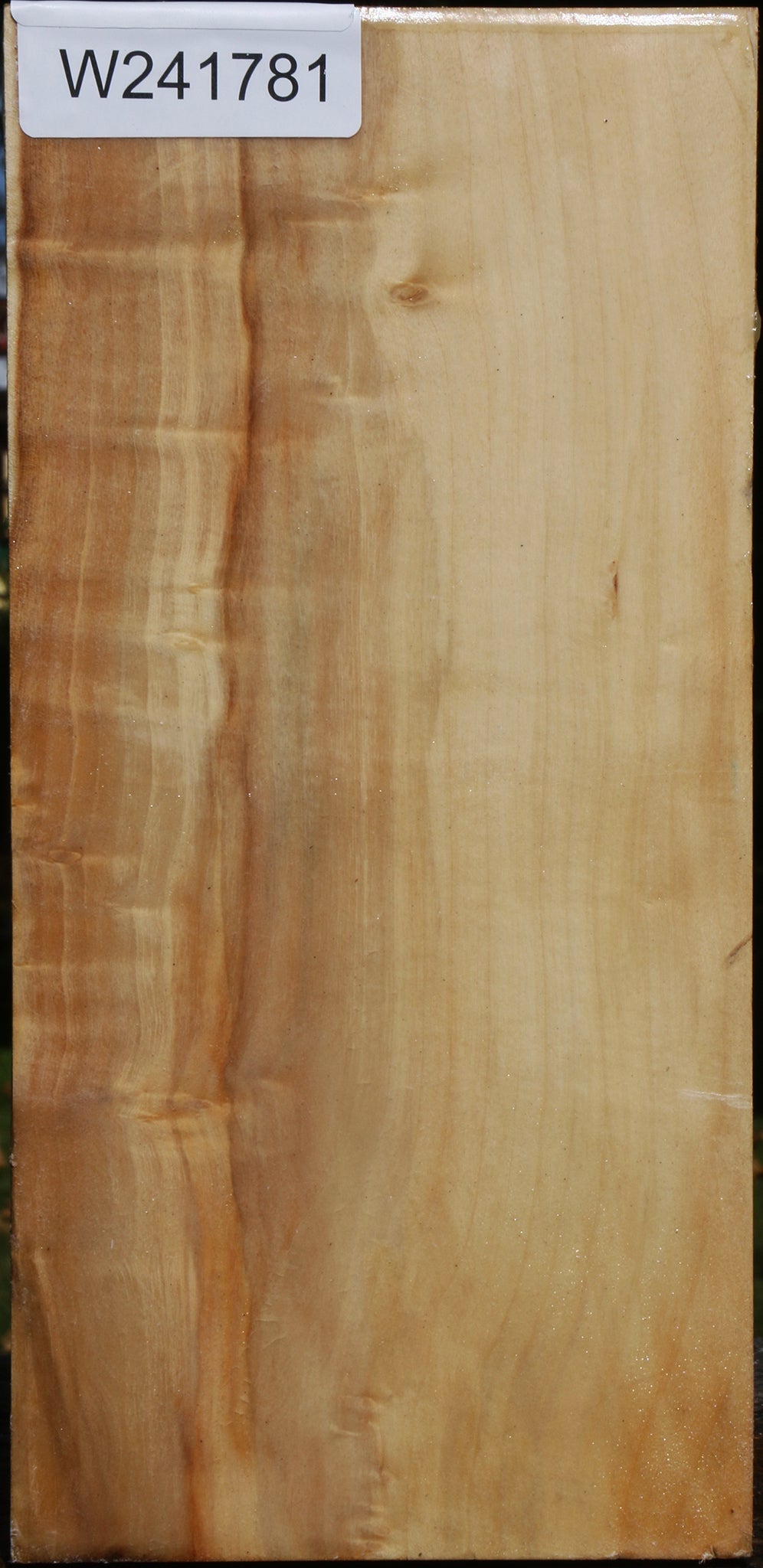 Extra Fancy Box Elder Vessel Blank