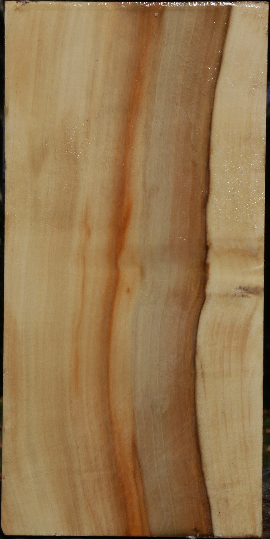 Extra Fancy Box Elder Vessel Blank