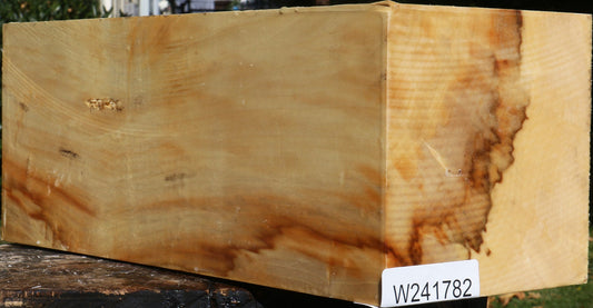 Extra Fancy Box Elder Vessel Blank