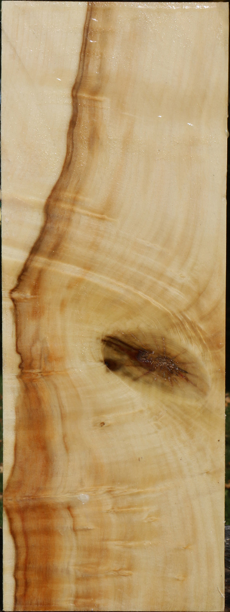 Extra Fancy Box Elder Vessel Blank