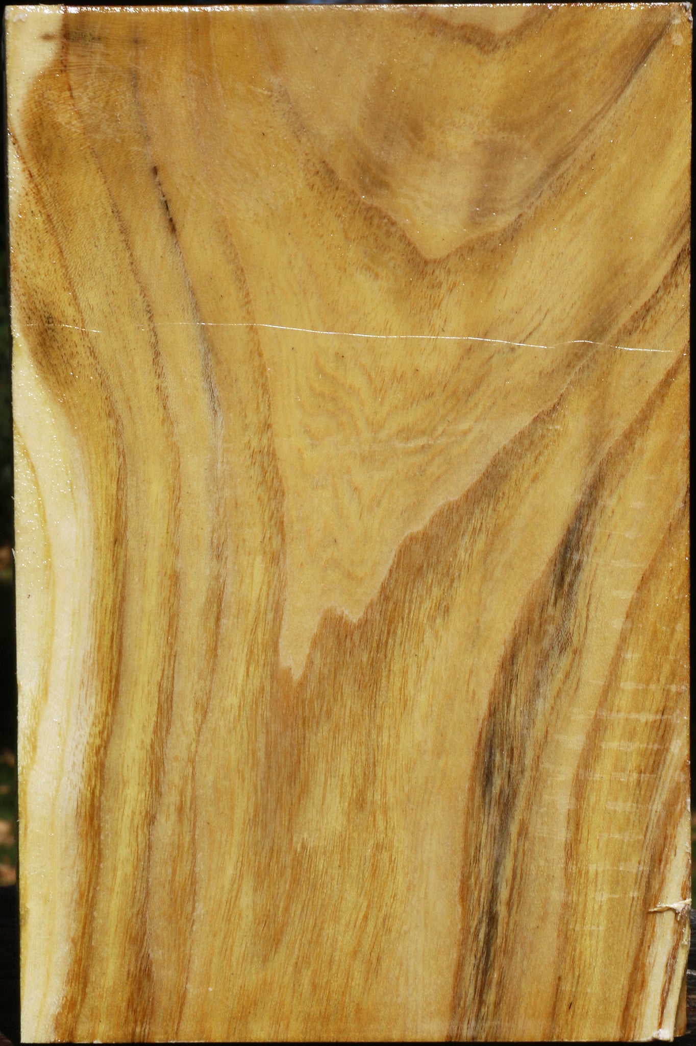 Mulberry Vessel Blank