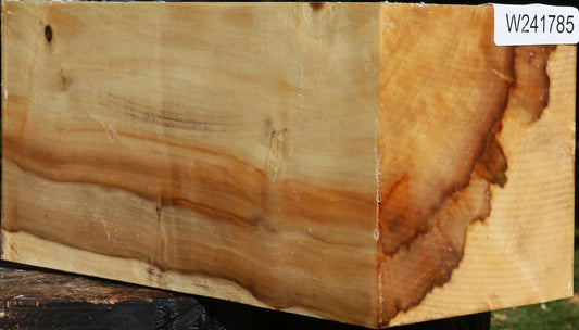 Extra Fancy Box Elder Vessel Blank