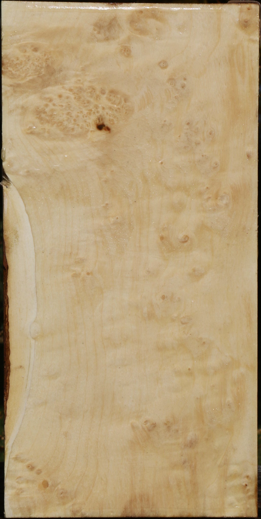 Extra Fancy Box Elder Vessel Blank