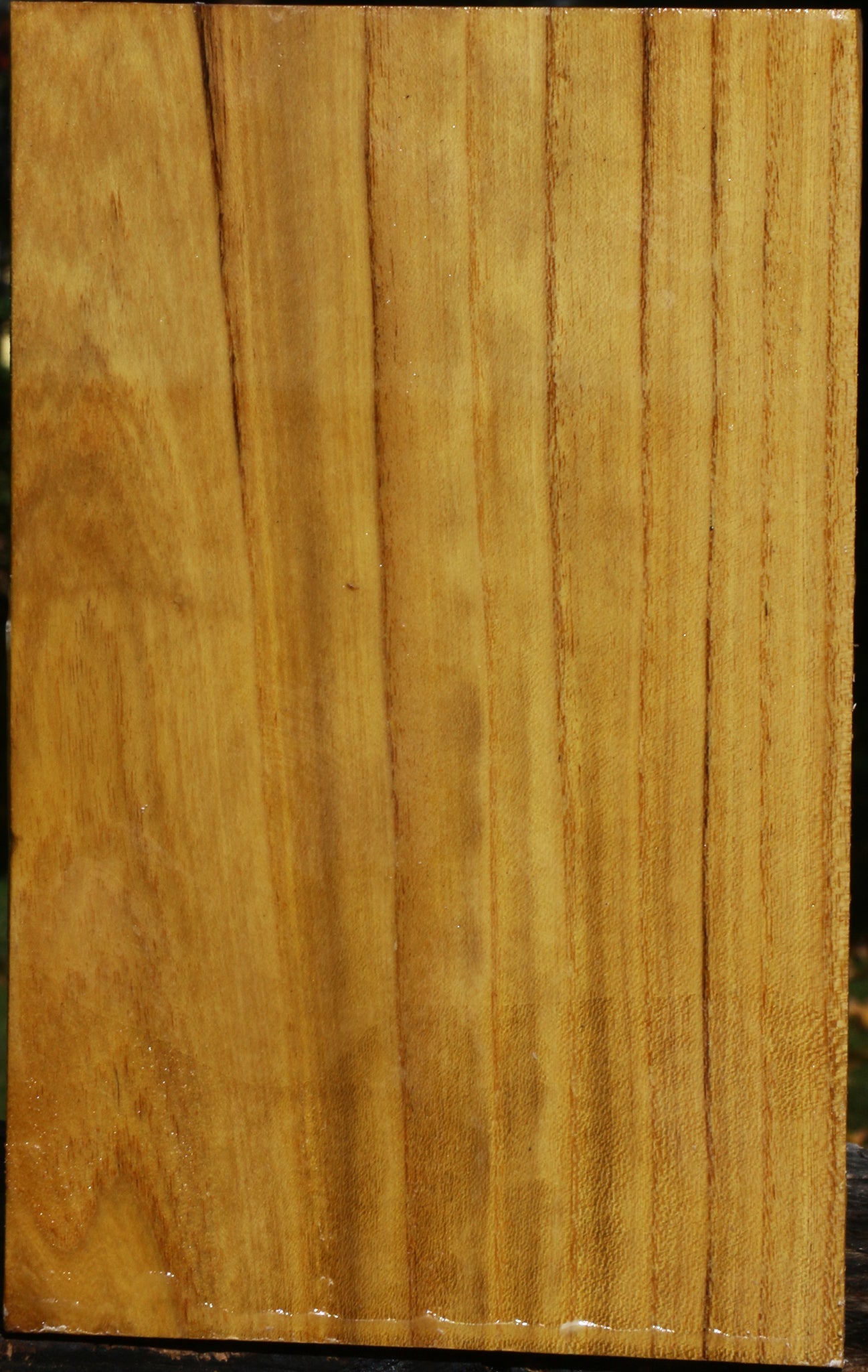 Mulberry Vessel Blank