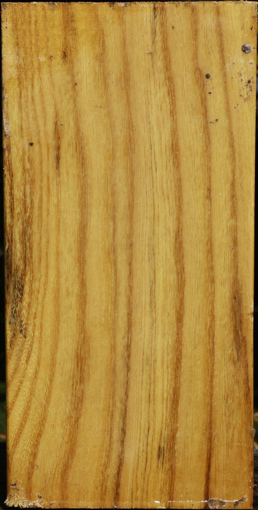 Mulberry Vessel Blank