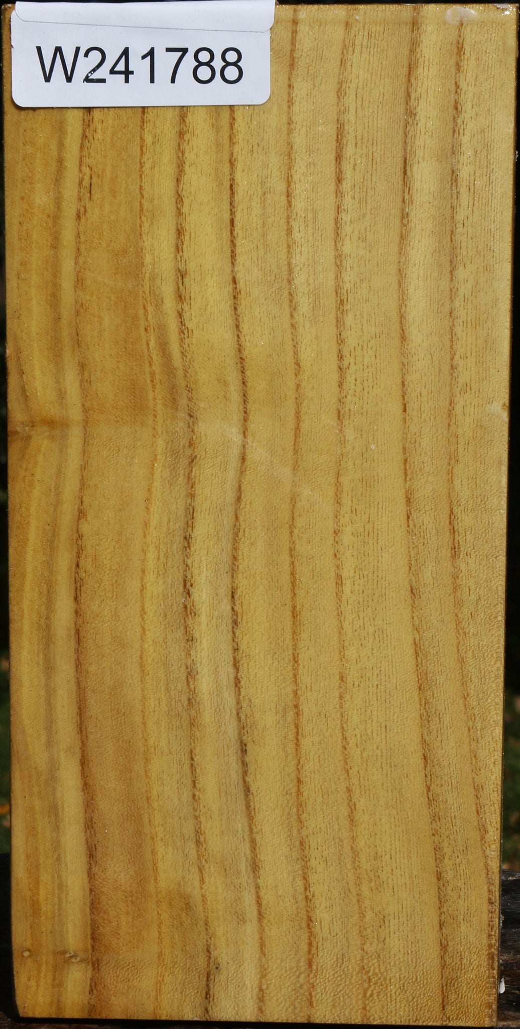 Mulberry Vessel Blank