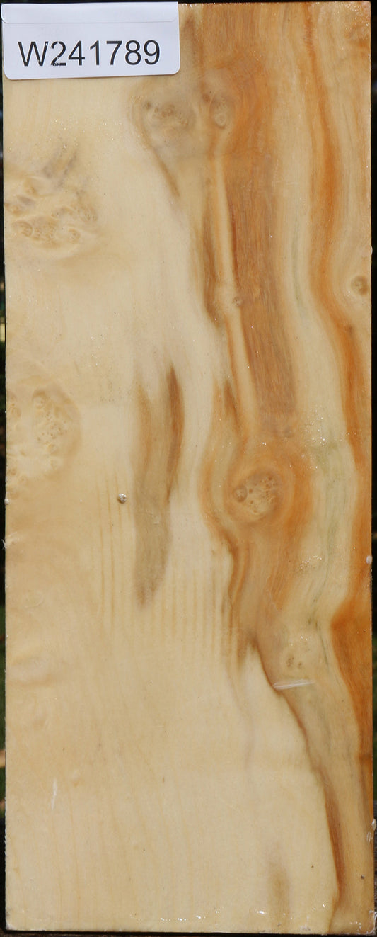 Extra Fancy Box Elder Vessel Blank