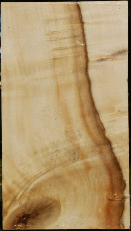 Figured Box Elder Vessel Blank