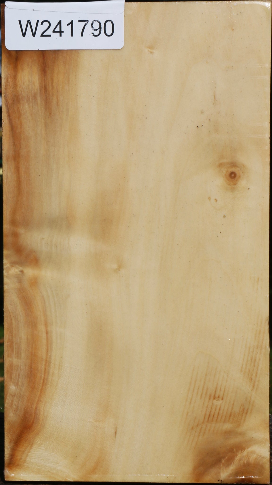 Figured Box Elder Vessel Blank