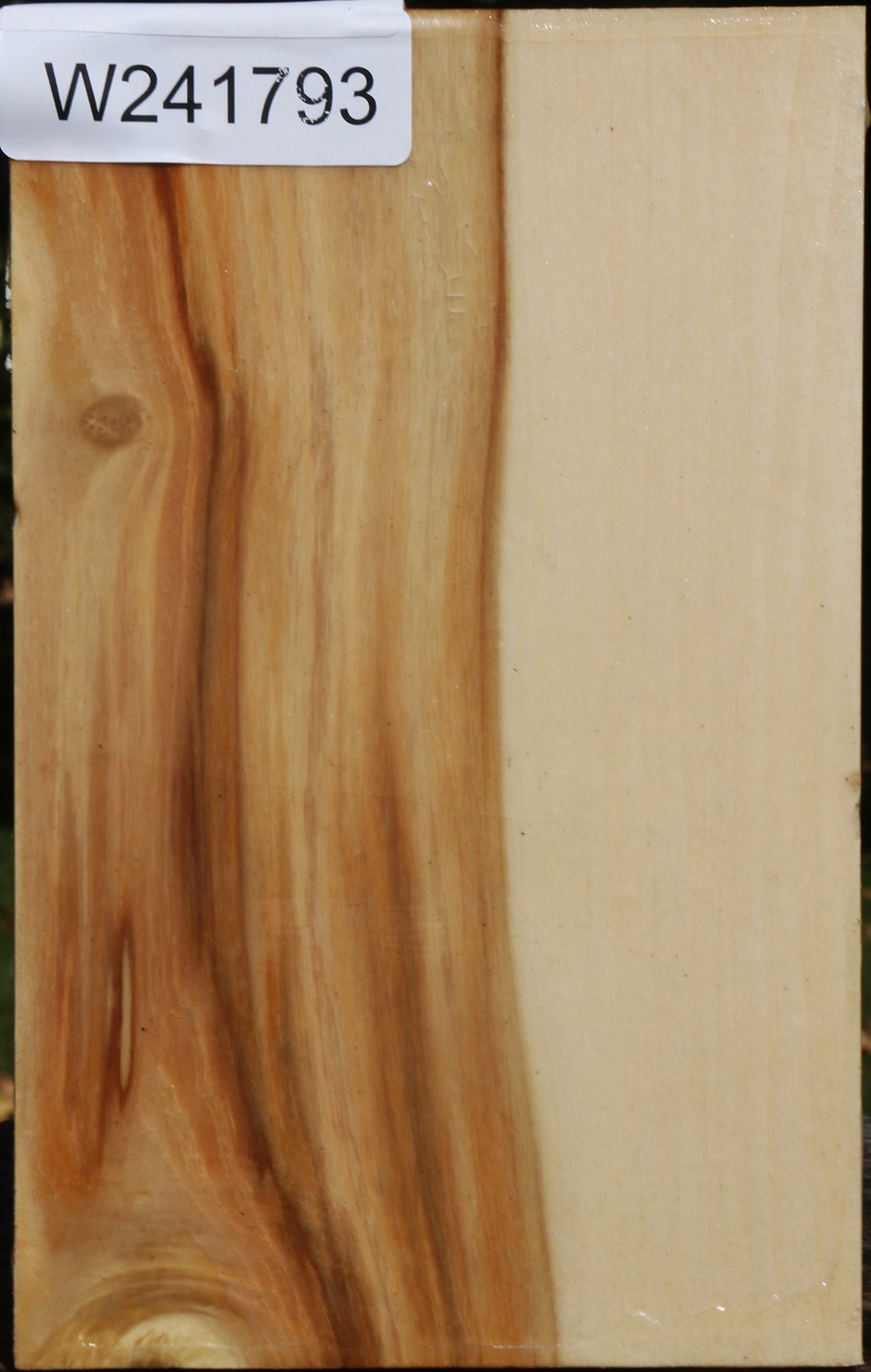 Box Elder Vessel Blank