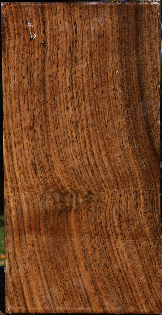 Claro Walnut Vessel Blank