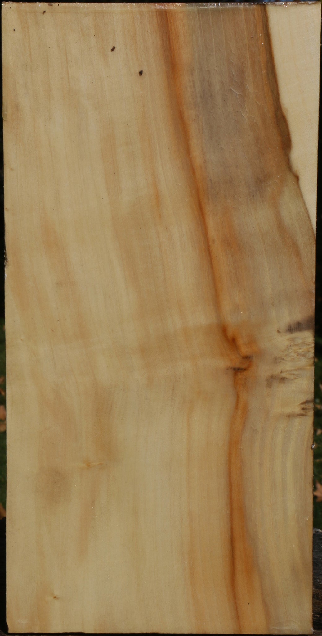 Box Elder Vessel Blank