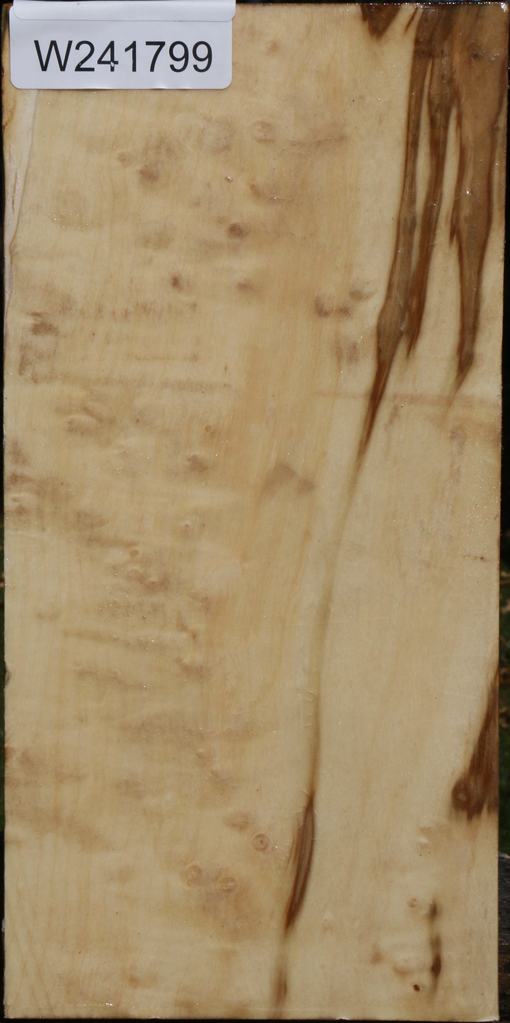 Box Elder Vessel Blank