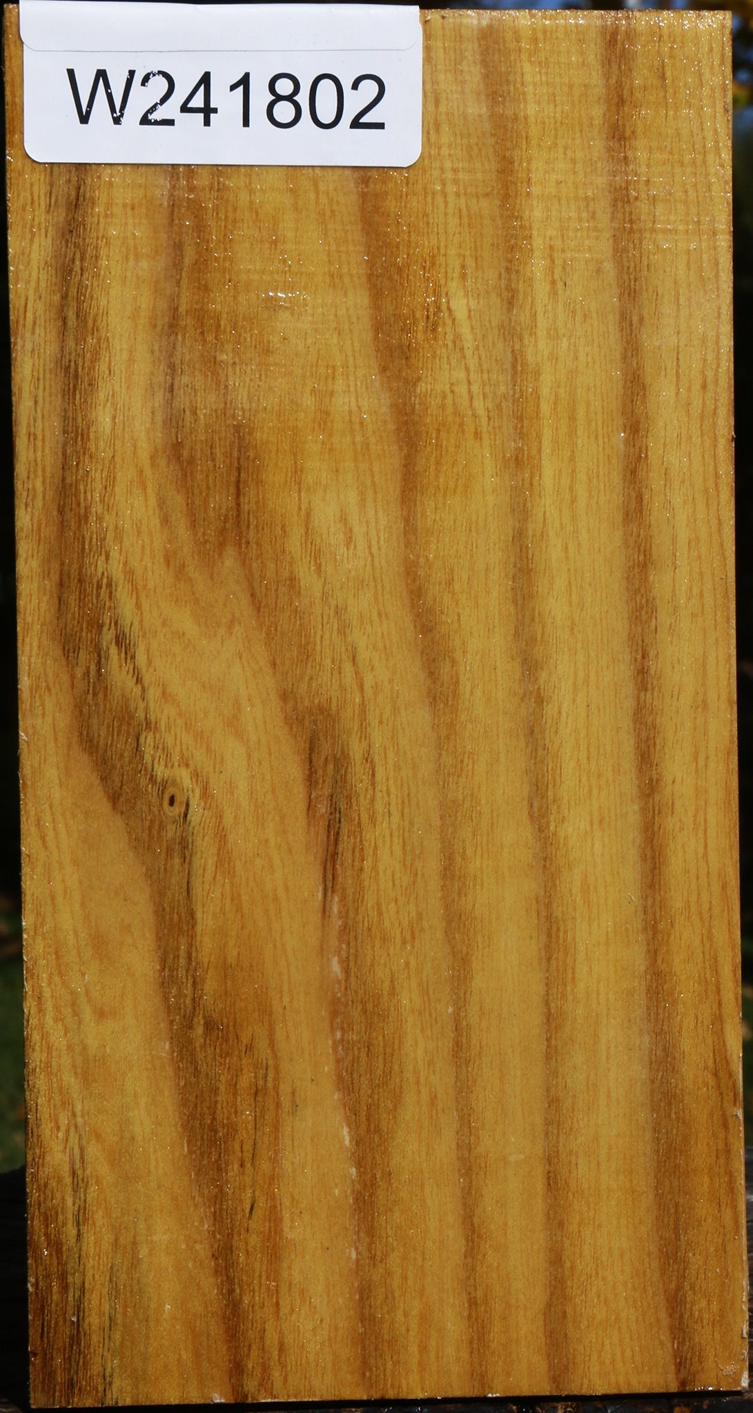 Mulberry Vessel Blank