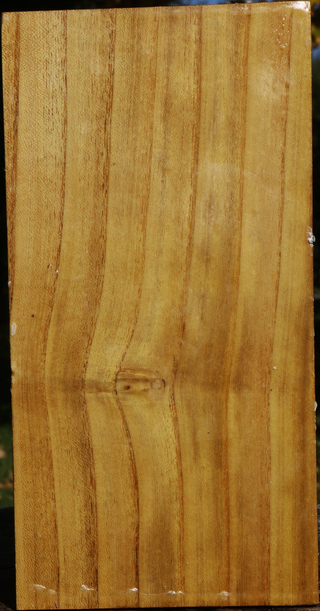 Mulberry Vessel Blank