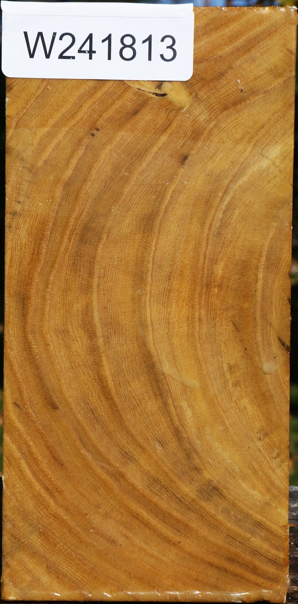 Mulberry Turning Square