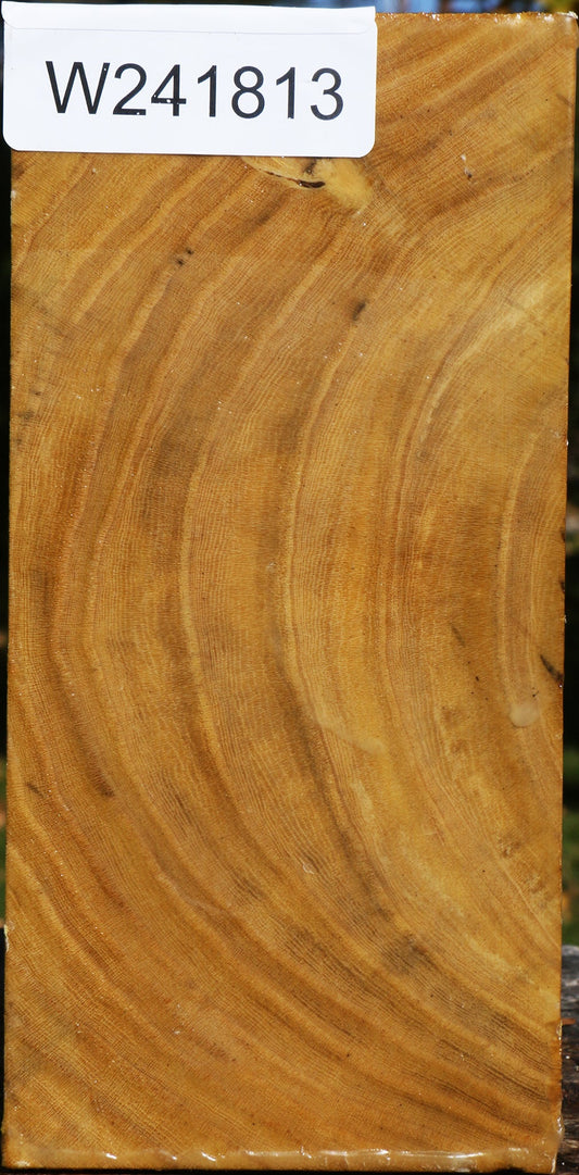 Mulberry Turning Square