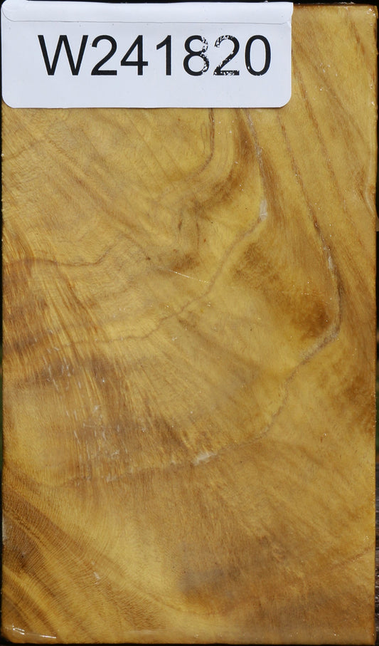 Mulberry Turning Square