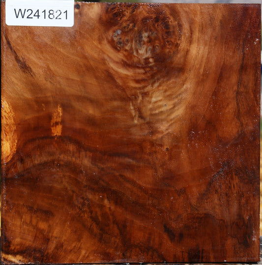 Figured California Cottonwood Bowl Blank