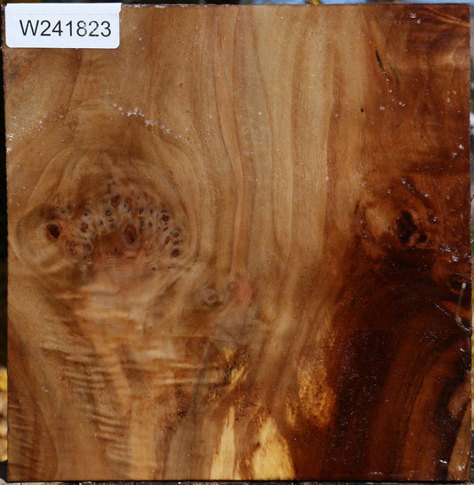 Figured California Cottonwood Bowl Blank