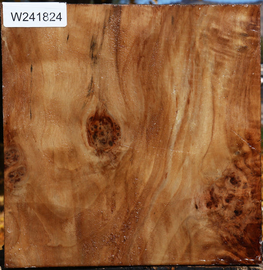 Figured California Cottonwood Bowl Blank